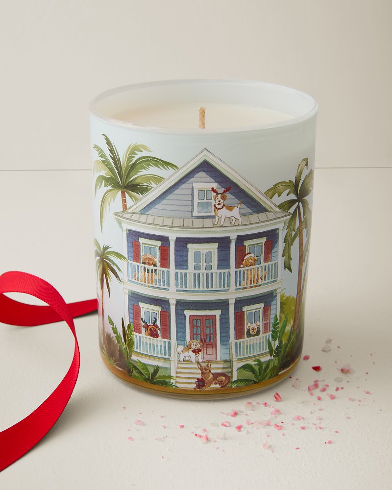 Peppermint Frost Doghouse 8.5-oz. Boxed Candle