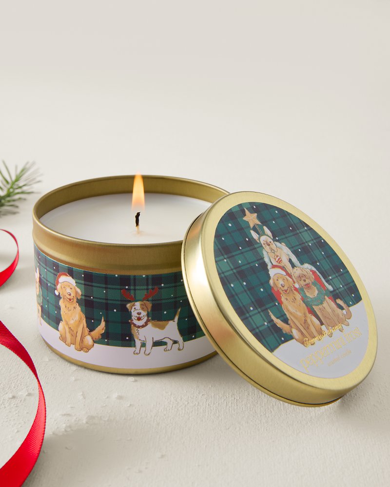 Peppermint Frost 6-oz. Candle Tin