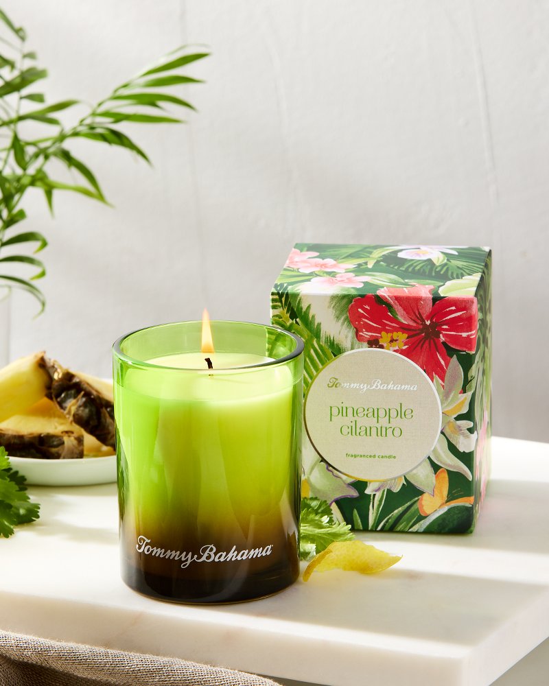 Tommy bahama island blend hot sale candle