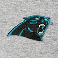 Swatch Color - carolina_panthers