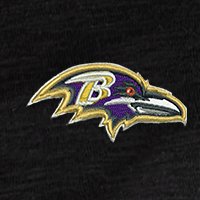 Swatch Color - baltimore_ravens