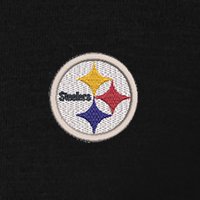 Swatch Color - pittsburgh_steelers