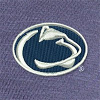 Swatch Color - penn_state