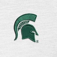 Swatch Color - michigan_state