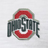 Swatch Color - ohio_state