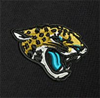 Swatch Color - jacksonville_jaguars