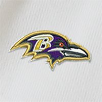 Swatch Color - baltimore_ravens