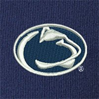 Swatch Color - penn_state