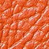 Swatch Color - Orange