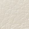 Swatch Color - Cream