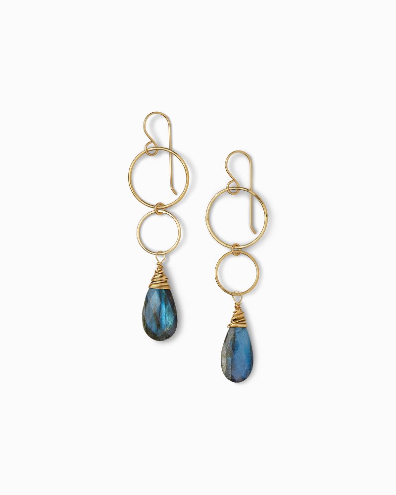 Labradorite Double Hoop Earrings
